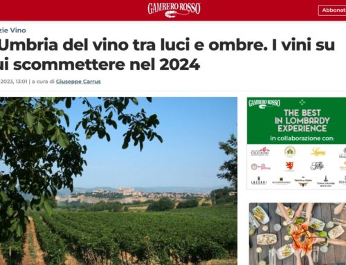 L’Umbria del vino tra luci e ombre. I vini su cui scommettere nel 2024